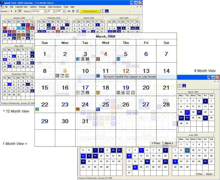 Multiple Calendar Views